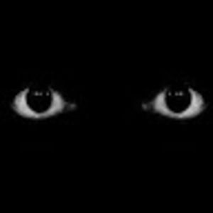 Meet your Posher, Nina